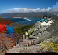 Full-Day Tour One-Way from Launceston to Hobart with Freycinet National Park - Hervey Bay Accommodation
