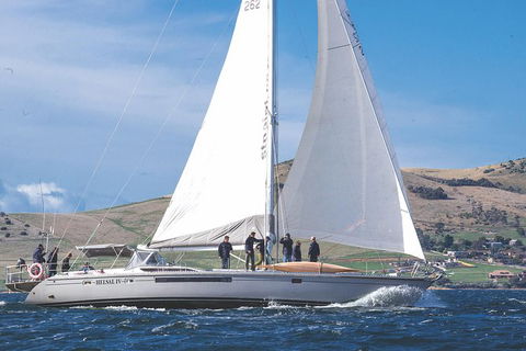 Half-Day Sailing On The Derwent River From Hobart - Hervey Bay Accommodation 5