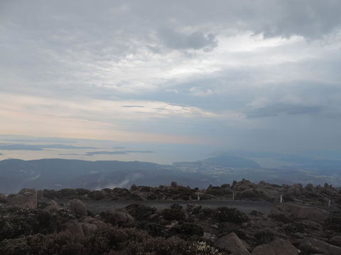 Mt Wellington Tour And MONA Admission - Hervey Bay Accommodation 5