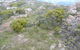 Mt Wellington Tour And MONA Admission - thumb 8