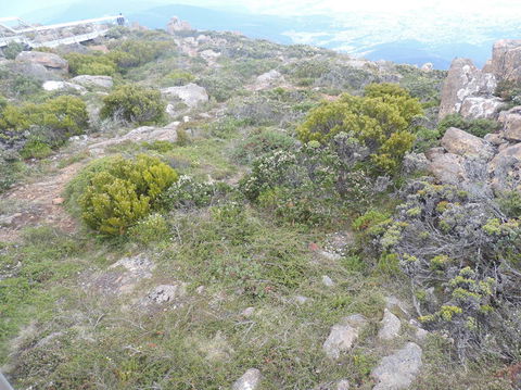 Mt Wellington Tour And MONA Admission - Hervey Bay Accommodation 8