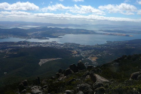 Mt Wellington Tour And MONA Admission - Hervey Bay Accommodation 15