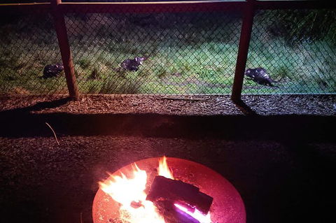 Sunset Experience - Hervey Bay Accommodation 5