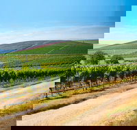 Full Day Tamar Valley Wine Tour - Hervey Bay Accommodation
