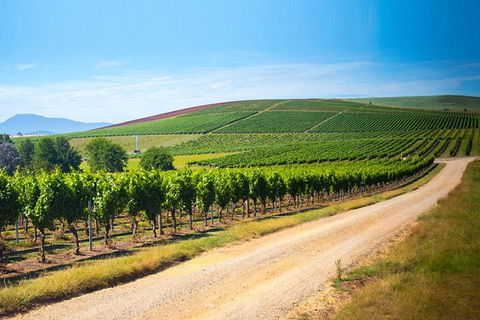 Full Day Tamar Valley Wine Tour - Hervey Bay Accommodation 0