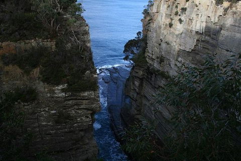 Cruise Ship Special From Port Arthur: Explore Tasman Peninsula With Free WiFi - Tourism Hervey Bay 1
