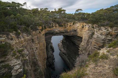 Cruise Ship Special From Port Arthur: Explore Tasman Peninsula With Free WiFi - Tourism Hervey Bay 2