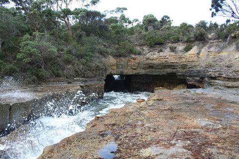 Cruise Ship Special From Port Arthur: Explore Tasman Peninsula With Free WiFi - Tourism Hervey Bay 7