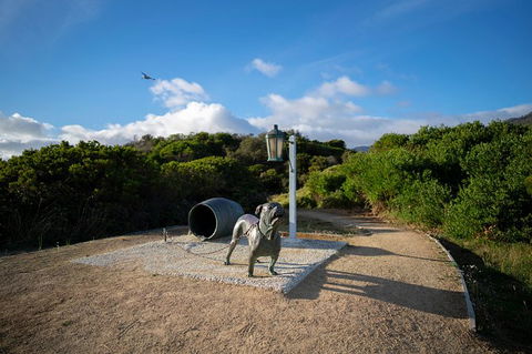 Cruise Ship Special From Port Arthur: Explore Tasman Peninsula With Free WiFi - Tourism Hervey Bay 9
