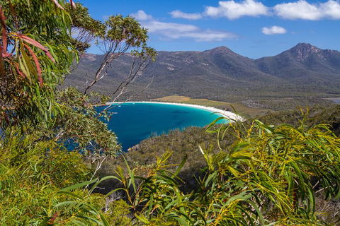 4x4 And Lunch Full Day Freycinet And Wineglass Bay - Hervey Bay Accommodation 1