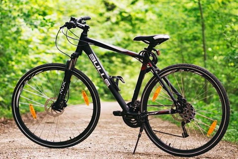 Hobart Shore Excursion: Small Group Mount Wellington 3-Hour Bike Tour - Hervey Bay Accommodation 1