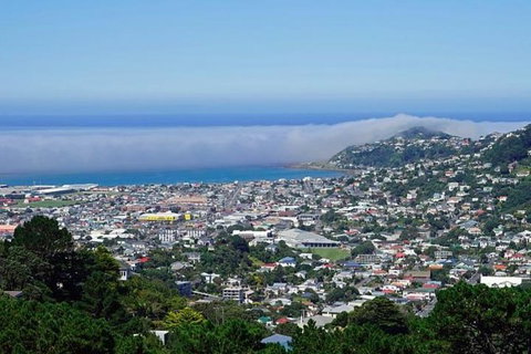 Hobart Shore Excursion: Small Group Mount Wellington 3-Hour Bike Tour - Hervey Bay Accommodation 0