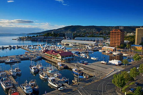 Hobart Shore Excursion: Small Group Mount Wellington 3-Hour Bike Tour - Hervey Bay Accommodation 6