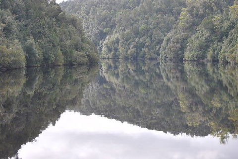 Gordon River Cruise Departing From Strahan - Hervey Bay Accommodation 17