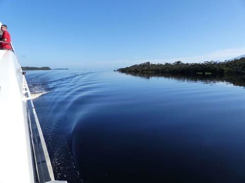 Gordon River Cruise Departing From Strahan - Hervey Bay Accommodation 3
