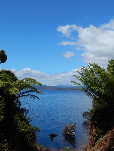 Gordon River Cruise Departing From Strahan - Hervey Bay Accommodation 20