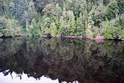 Gordon River Cruise Departing From Strahan - Hervey Bay Accommodation 24