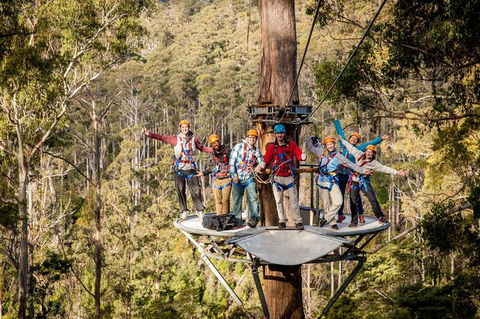 Hollybank Wilderness Adventure - Zipline Tours - Hervey Bay Accommodation 2