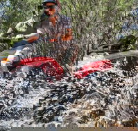 Quad Bike 2-Hour Adventure Freycinet National Park - Hervey Bay Accommodation