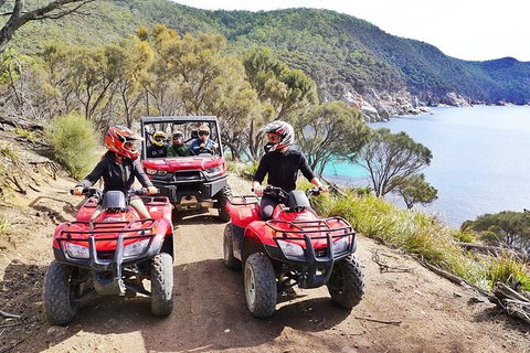 Quad Bike 2-Hour Adventure: Freycinet National Park - Hervey Bay Accommodation 2