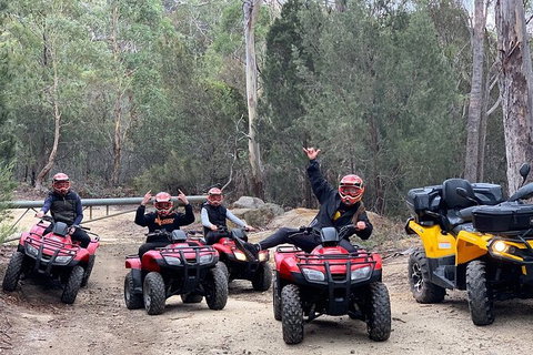 Quad Bike 2-Hour Adventure: Freycinet National Park - Hervey Bay Accommodation 4