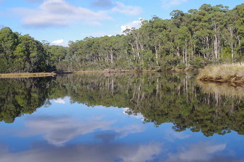 Leven River Picnic Cruise From Ulverstone - Hervey Bay Accommodation 1