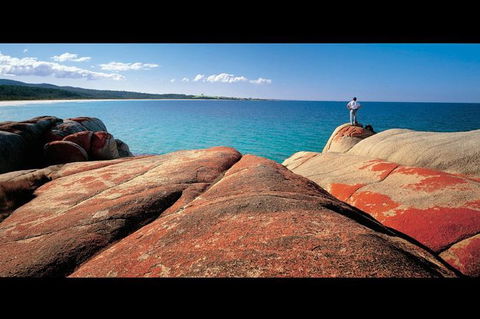 Bay Of Fires Day Trip From Launceston - Hervey Bay Accommodation 1