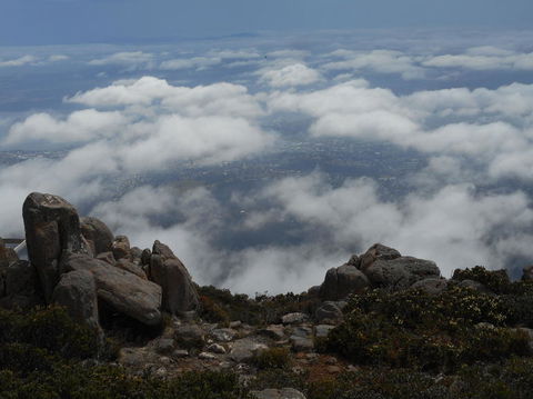Cruise Ship Special Ex Hobart: Mt Wellington, Richmond, Bonorong With Free WiFi - Hervey Bay Accommodation 15