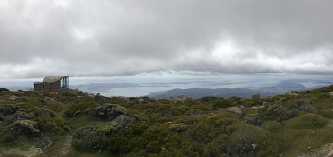 Cruise Ship Special Ex Hobart: Mt Wellington, Richmond, Bonorong With Free WiFi - Hervey Bay Accommodation 4