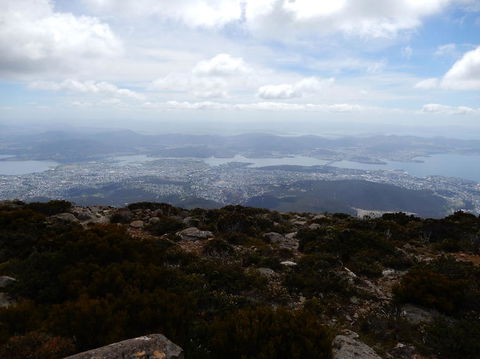 Cruise Ship Special Ex Hobart: Mt Wellington, Richmond, Bonorong With Free WiFi - Hervey Bay Accommodation 10