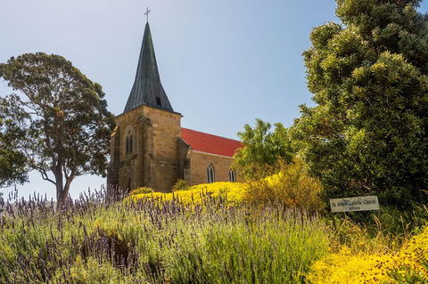 Cruise Ship Special Ex Hobart: Mt Wellington, Richmond, Bonorong With Free WiFi - Hervey Bay Accommodation 18