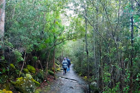 Hobart Hop-On Hop-Off Bus & Kunanyi/Mt Wellington Tour - Hervey Bay Accommodation 4