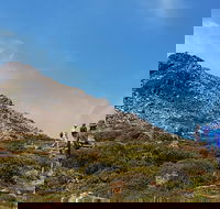 Hartz Peak Hiking Tour - Hartz Mountains National Park - Hervey Bay Accommodation