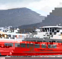 Mt Wellington and Harbour Cruise combo - Hervey Bay Accommodation
