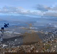 Mt Wellington ONE WAY WALKERS Tour great option for bushwalkers - Hervey Bay Accommodation