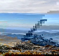 Mt Wellington and City Sights combo tour Hobart history  views in one day - Hervey Bay Accommodation