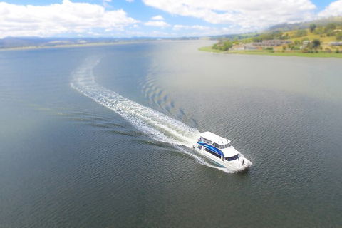 2.5 Hour Afternoon Discovery Cruise Including Cataract Gorge Departs At 1: 30 Pm - Hervey Bay Accommodation 6