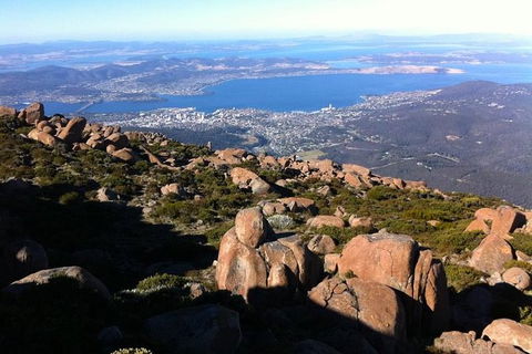 Mt Wellington ULTIMATE Tour, Most Comprehensive/ Best Value - Hervey Bay Accommodation 1