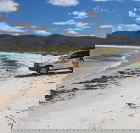 4X4 and Lunch Half Day Bicheno Coastal Mountain - Hervey Bay Accommodation