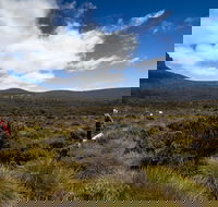 6-Day Overland Track PhotoTour - Hervey Bay Accommodation