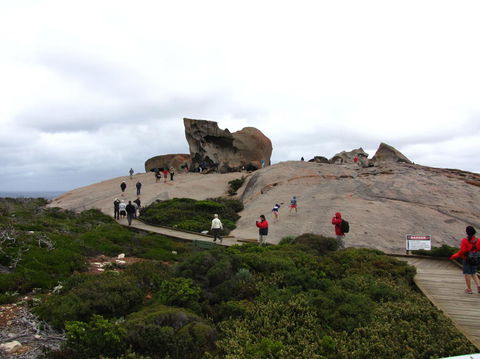 Kangaroo Island In A Day Tour From Adelaide - Hervey Bay Accommodation 21