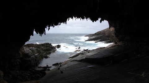 Kangaroo Island In A Day Tour From Adelaide - Hervey Bay Accommodation 20