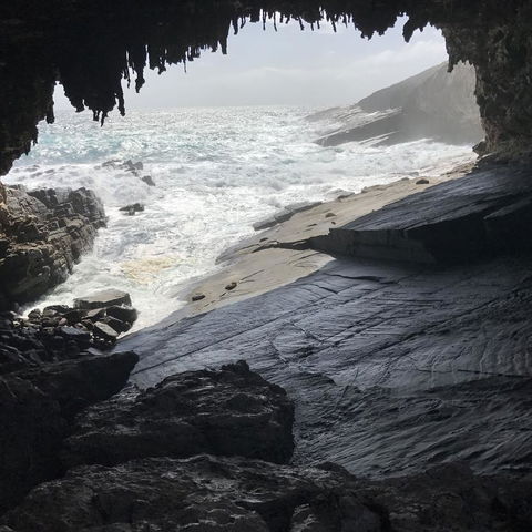 Kangaroo Island In A Day Tour From Adelaide - Hervey Bay Accommodation 5