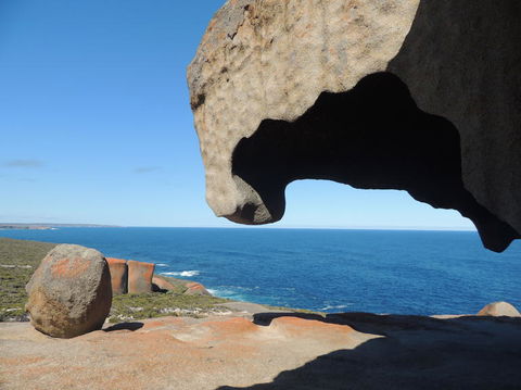 Kangaroo Island In A Day Tour From Adelaide - Hervey Bay Accommodation 13