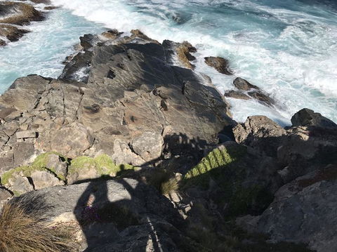 Kangaroo Island In A Day Tour From Adelaide - Hervey Bay Accommodation 3