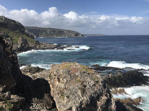 Kangaroo Island In A Day Tour From Adelaide - Hervey Bay Accommodation 4