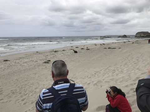 Kangaroo Island In A Day Tour From Adelaide - Hervey Bay Accommodation 10