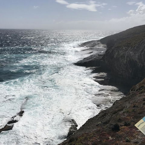 Kangaroo Island In A Day Tour From Adelaide - Hervey Bay Accommodation 6