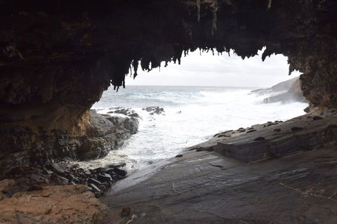 Kangaroo Island In A Day Tour From Adelaide - Hervey Bay Accommodation 18