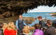 Kangaroo Island In A Day Tour From Adelaide - thumb 28